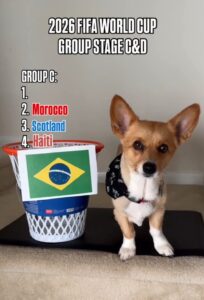 Air Corgi, Cachorro vidente prevê Brasil líder do Grupo C