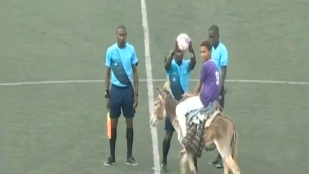 Burro entrega bola na final de Cabo Verde — Cabo Verde