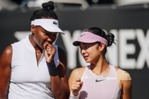 Venus e Eala em quadra