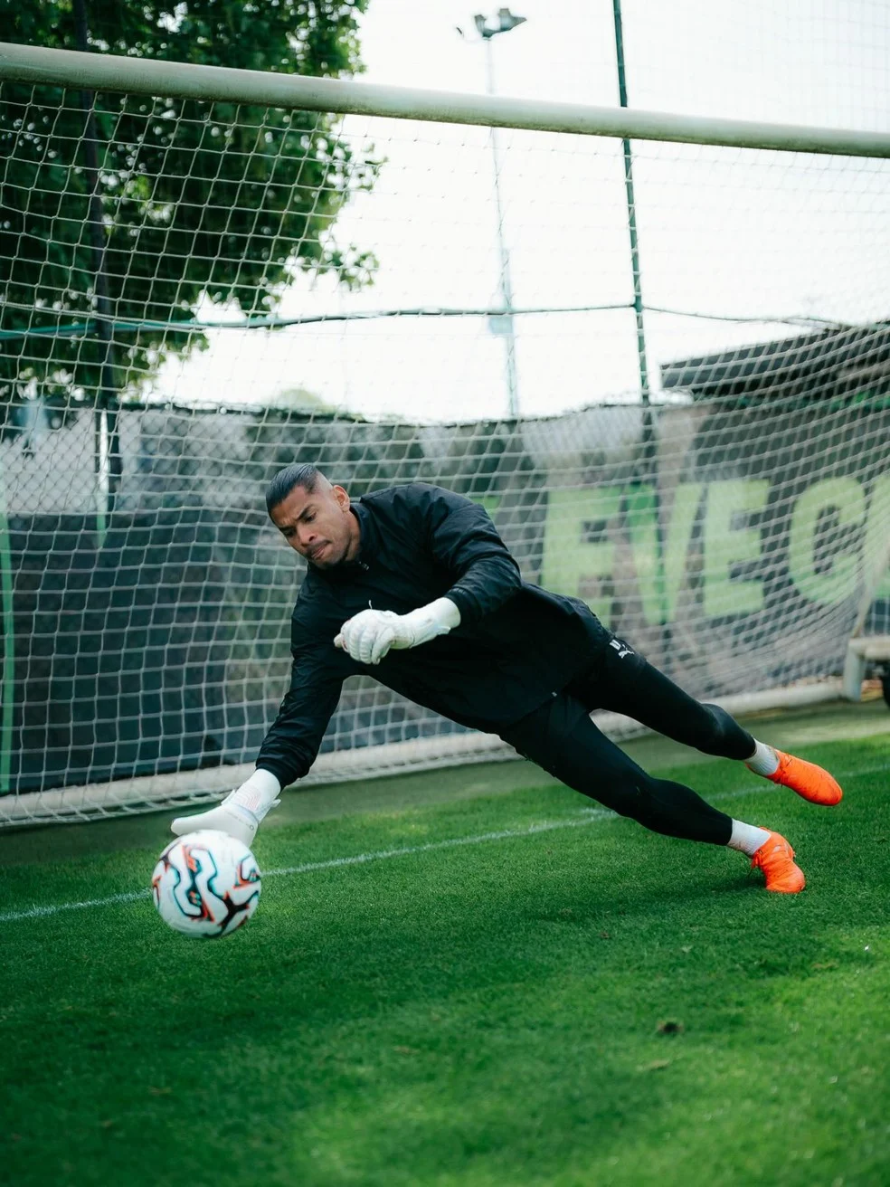 Warleson no Botafogo: goleiro em imagem