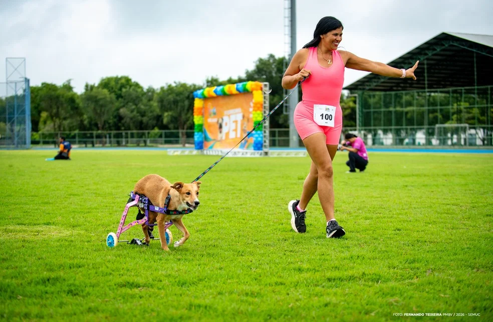 Cadela Sobrevivente na corrida pet Boa Vista